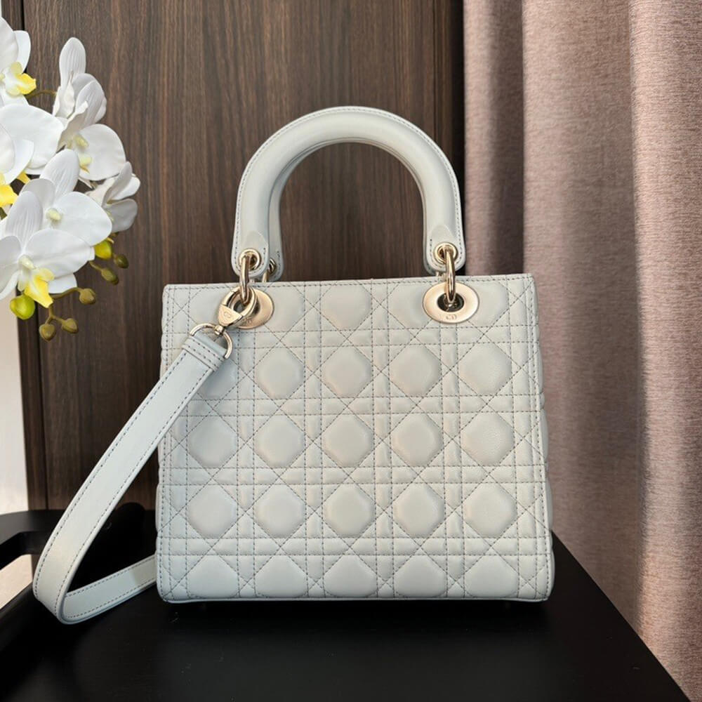 LV Speedy Bandouliere 20