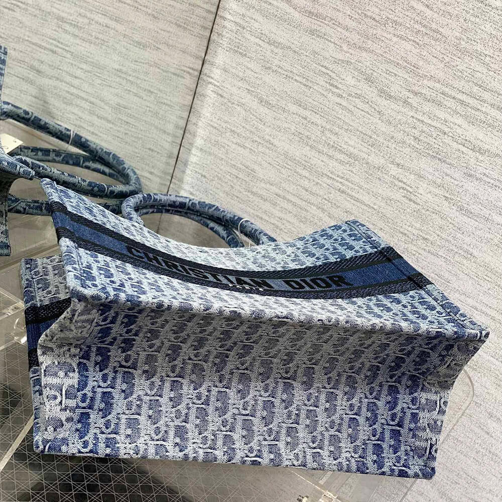 Small Dior Book Tote